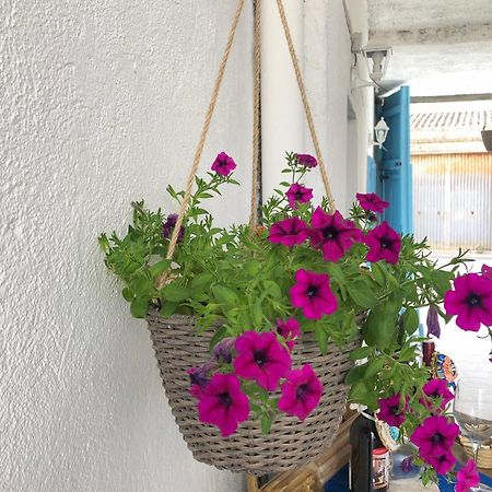 Bnb Le Janas Càbras Εξωτερικό φωτογραφία